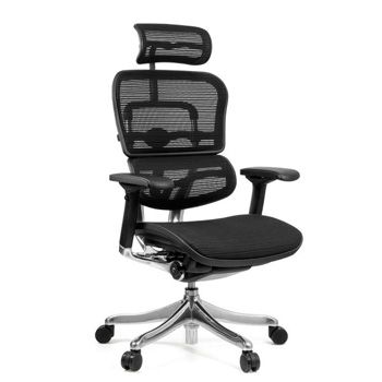 компьютерное кресло Comfort Seating Ergohuman Plus: фото
