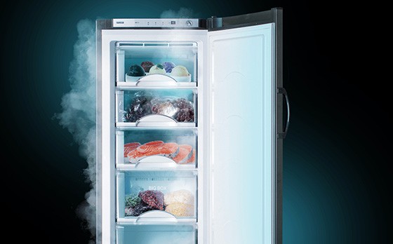 Инструкция по эксплуатации двухкамерного холодильника «Атлант»