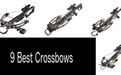 Best crossbows under 500: photo