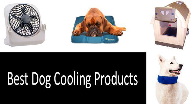 XL Bulldog Dog Cooling Bandana Chill out Neck Ice Cool Instant cooling AFP M L