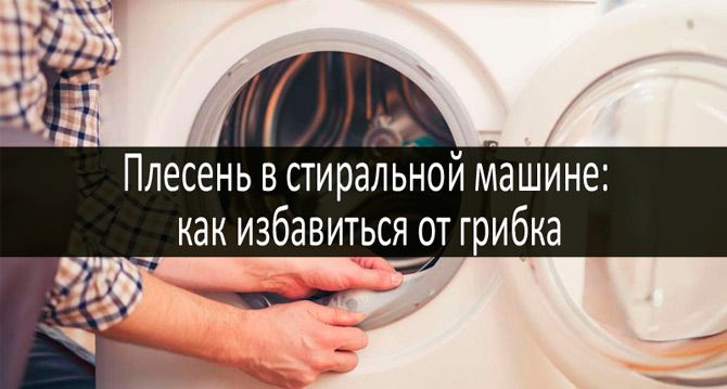 Плесень в стиральной машине: фото