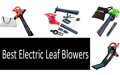 Best electric leaf blowers min: photo