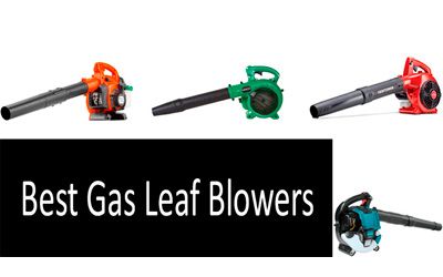 Best gas leaf blowers min: photo