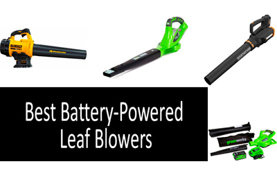 Best battery-powered leaf blowers min: photo