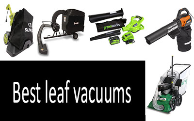 Best leaf vacuums min: photo