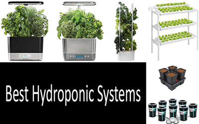 Best hydroponic systems: photo