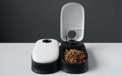 Best automatic cat feeders: photo