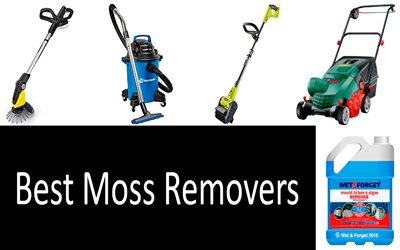 Best Moss Remover: photo