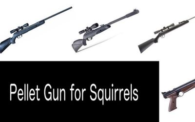 Best pellet guns for squirrels: photo