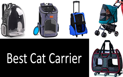 Best cat carrier backpacks: photo