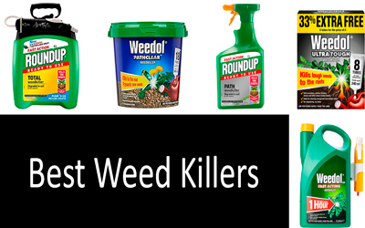 Best weed killer: photo