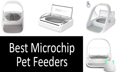 Best microchip cat feeders: photo