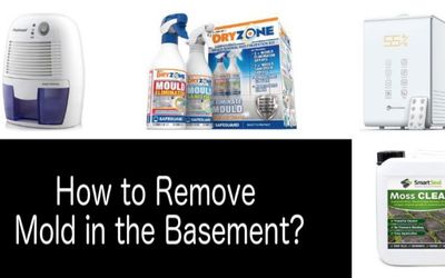 Mould in the Basement How to Remove min: photo